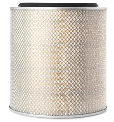 AIR FILTER-PRIMARY