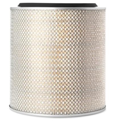 AIR FILTER-PRIMARY