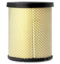 AIR FILTER-RADIAL SEAL...