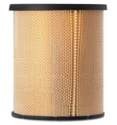 AIR FILTER-RADIAL SEAL...