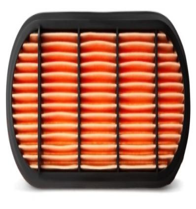 AIR FILTER-RADIAL SEAL SECONDARY