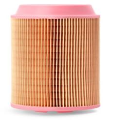AIR FILTER-RADIAL SEAL PRIMARY
