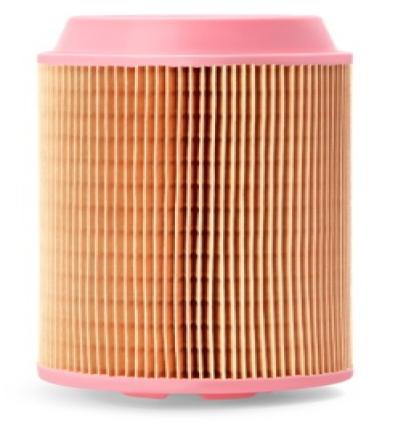 AIR FILTER-RADIAL SEAL PRIMARY